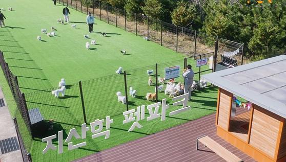 국내 최초로 대학 캠퍼스에 조성된 ‘부산시 지산학 펫파크’에서 반려동물들이 뛰어놀고 있다. 사진 부산시