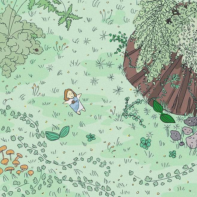 김 작가의 묵상 글에 맞춰 동생 주영씨가 그린 작품. '주님을 알자. 애써 주님을 알자. 새벽마다 여명이 오듯 주님께서도 그처럼 어김없이 오시고, 해마다 쏟아지는 가을 비처럼 오신다'는 묵상이 담긴 그림이다. 김 작가 인스타그램 캡처