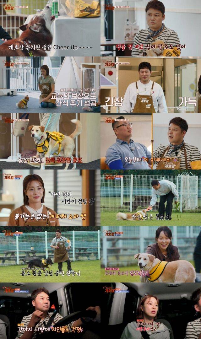 JTBC '집 나가면 개호강'/JTBC '집 나가면 개호강'