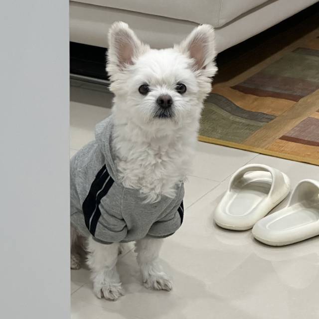 기사 내용과 무관한 사진. 김도연 기자