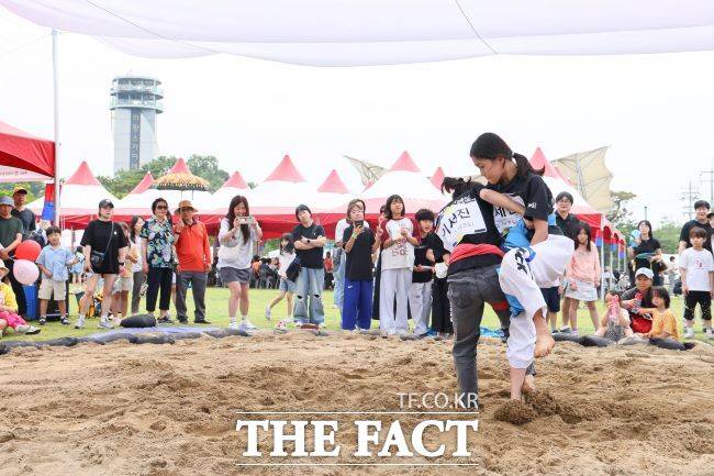 의왕단오축제 모습. /의왕시