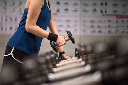 <사진: 아이클릭아트>