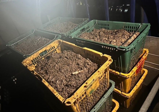 무단 투기하려던 젓갈 찌꺼지, 사진=전북군산해양경찰서