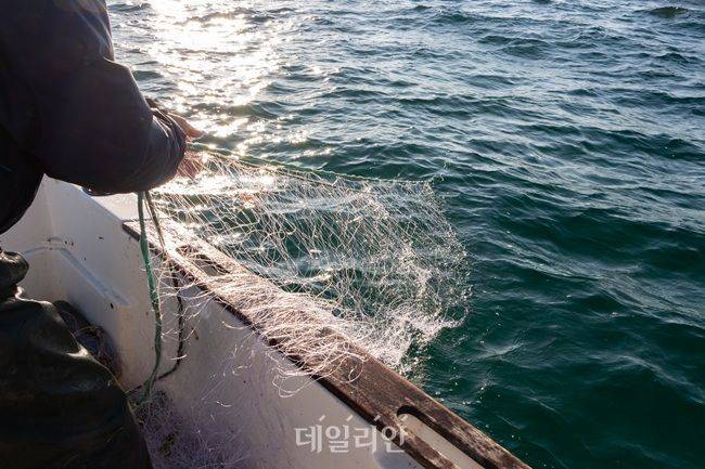 어부가 그물을 걷어올리고 있다. ⓒ게티이미지뱅크