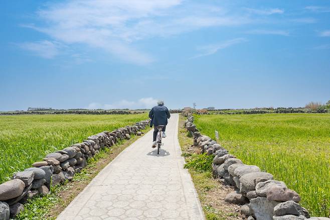 자전거에 부딪히는 바람과 햇살 또한 가파도 여행의 일부다