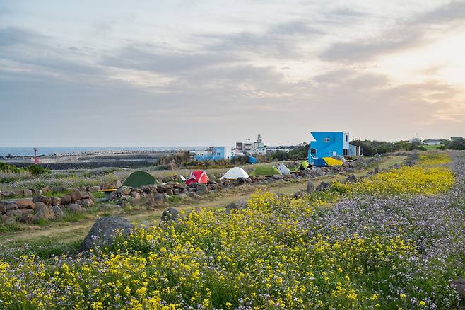 바다와 들꽃이 어우러진 태봉왓캠핑장의 자연미 넘치는 풍경