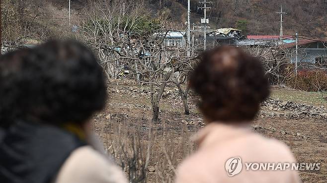 화마가 삼킨 감나무 (산청=연합뉴스) 김동민 기자 = 지난 3월 31일 오후 경남 산청군 시천면 중태마을에서 마을 주민이 산불로 훼손된 감나무를 바라보고 있다. 2025.3.31 image@yna.co.kr