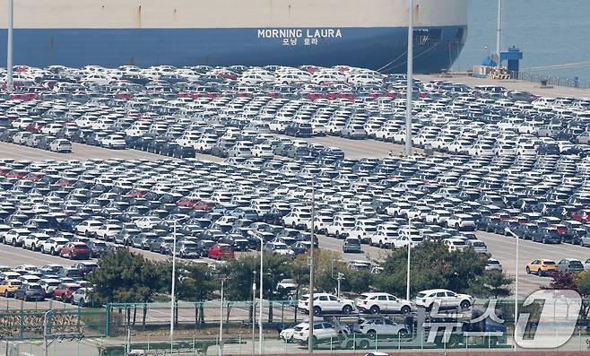 지난 4월 경기 평택시 포승읍 평택항 자동차전용부두에 수출용 차량들이 세워져 있다. 2025.4.29/뉴스1 ⓒ News1 김영운 기자