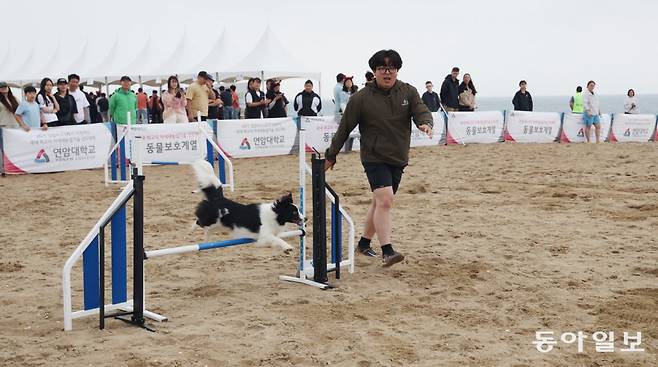 지난해 충남 태안에서 개최된 반려동물 축제 모습. 태안군 제공