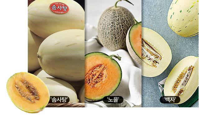 롯데백화점·컬리