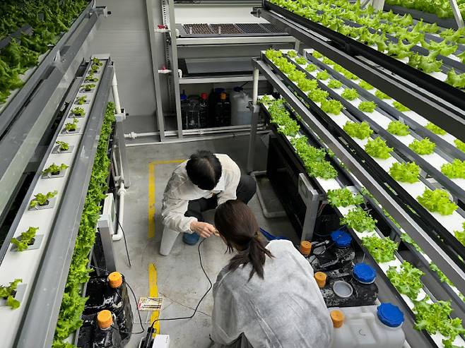 연암대 스마트원예학과. (사진 제공=전문대교협)