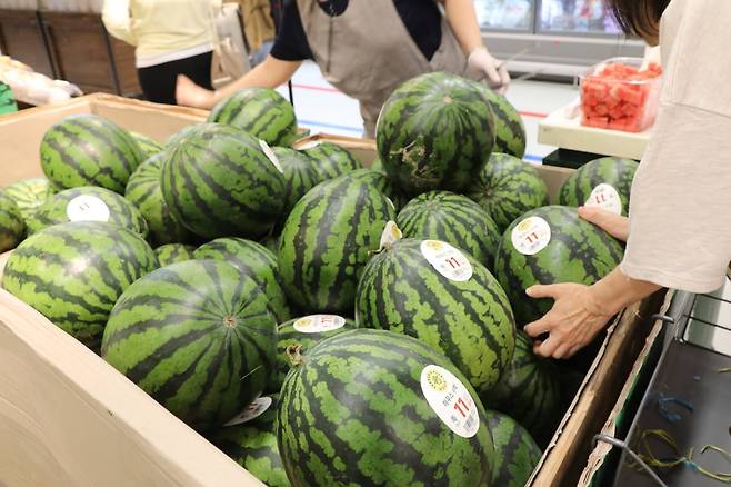 이마트가 기획 상품으로 내놓은 특(7~8kg) 11브릭스 수박. 이마트 제공