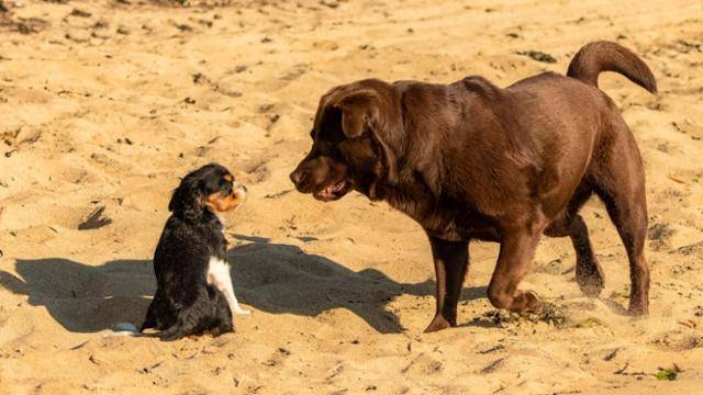 게티이미지뱅크