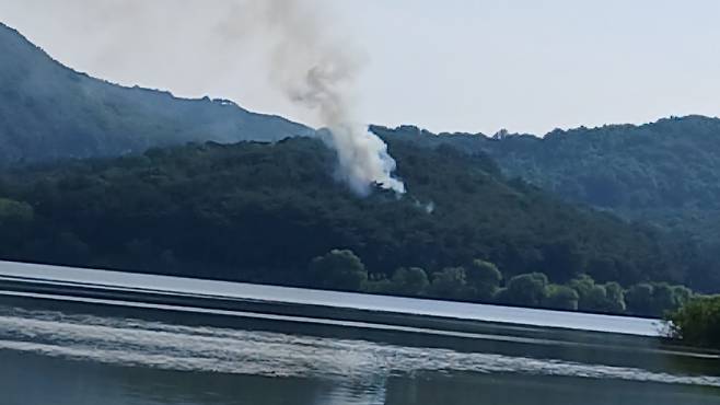 사진출처 : 산림청