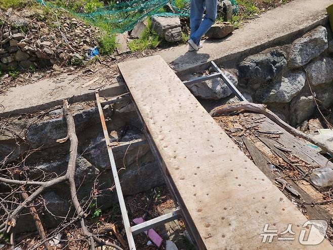 서울시 서초구 방배동 성뒤마을 재개발지구 내에 놓인 외나무 다리. 이 다리 건너 폐비닐하우스에는 동네고양이들을 위해 케어테이커들이 마련한 겨울집과 급식소가 있다. 2025.05.08/ⓒ 뉴스1 권진영 기자