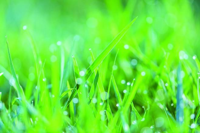 게티이미지뱅크 제공