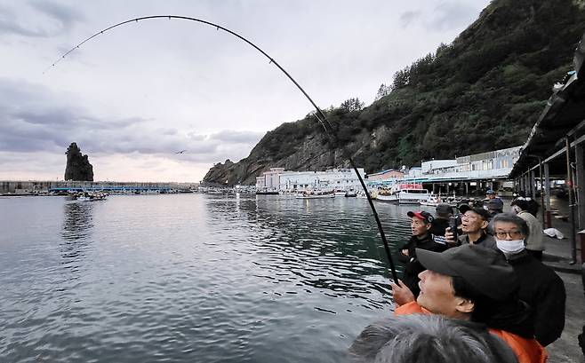 울릉도 저동항 내에서 방어를 잡는 낚시꾼. /김두한 기자