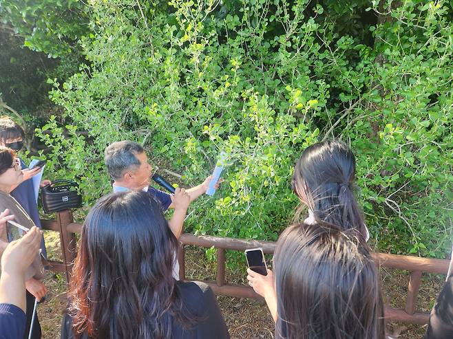 4일 고기봉 전 오조리 이장(사진 왼쪽)이 제주 서귀포시 성산읍 오조리 연안습지에서 자란 황근을 설명하고 있다./문수빈 기자