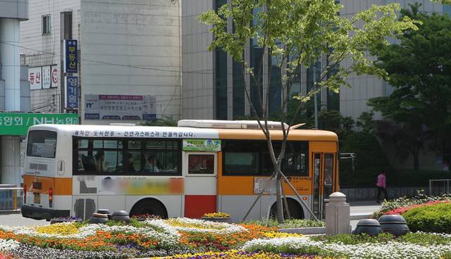 울산시내버스. 울산시청 제공