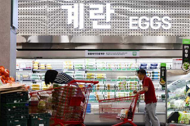 9일 서울 시내 한 대형마트 계란 매대에서 소비자들이 계란을 고르고 있다. 뉴시스