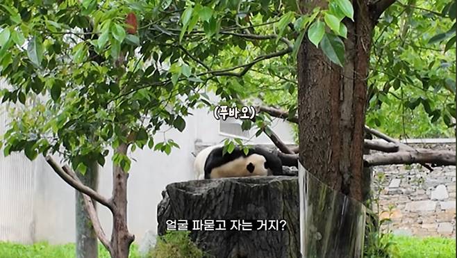 방송인 김숙 (출처: 유튜브 채널 ‘김숙티비’)