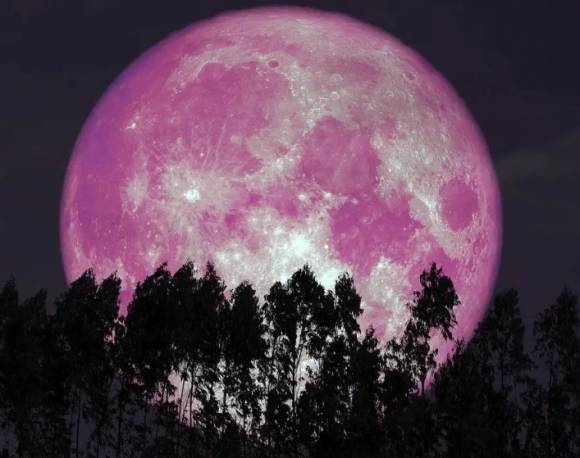 2024년 6월 21일 스트로베리 문 자료사진. 어스닷컴 제공