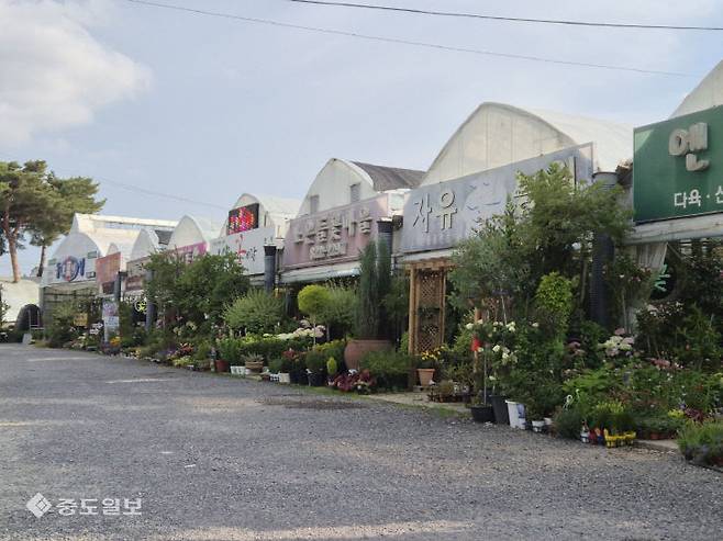 대전 유성구 노은 화훼단지가 죽동2지구 공공주택개발 사업으로 폐쇄될 위기에 놓이면서 대체부지가 요구된다.