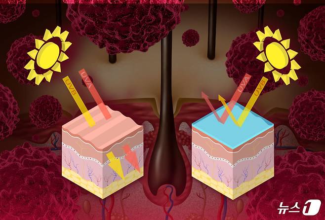 (서울=뉴스1) 강승지 기자 = 단순한 피부 변화나 점으로 보고 간과했다간 치료 시기를 놓칠 수 있어 주의해야 하는 질환이 있다. 바로 '피부암'이다. 대부분은 조기에 발견하면 완치할 수 있으며 주요인인 자외선을 차단하는 게 중요하다. ⓒ News1 윤주희 디자이너