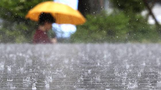 지난달 16일 서울 중구 서울시청 앞에 강한 비가 쏟아지고 있다. 기상청은 12일 제주도를 시작으로 여름 장마가 시작될 것으로 예상했다. 뉴시스