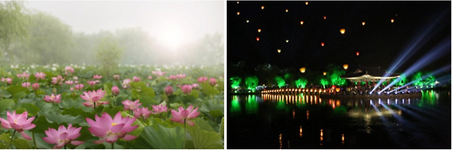 부여 궁남지/사진=부여군청 홈페이지