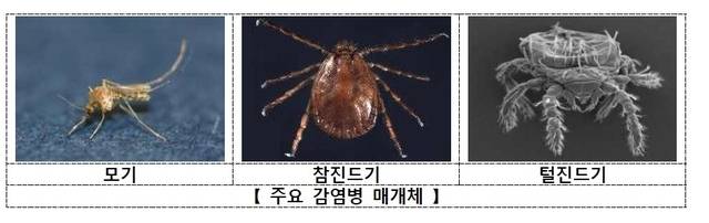 주요 감염병 매게체. 질병관리청