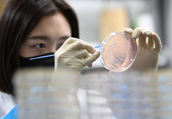 경기 수원시 권선구 경기도보건환경연구원에서 연구원이 식중독균 배양분리작업을 하고 있다. 뉴시스