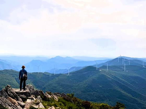 강원도 태백시와 정선군에 걸친 함백산(1573m)은 태백선수촌으로 향하는 서학로를 이용하면 20분이면 정상에 오를 수 있는 '높은 산'이다. 함백산 정상에서 만항재가 보인다. 6월의 함백산은 염주괴불주머니가 지천에 피었다. 김홍준 기자