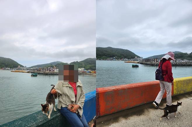 전남 고흥 쑥섬.