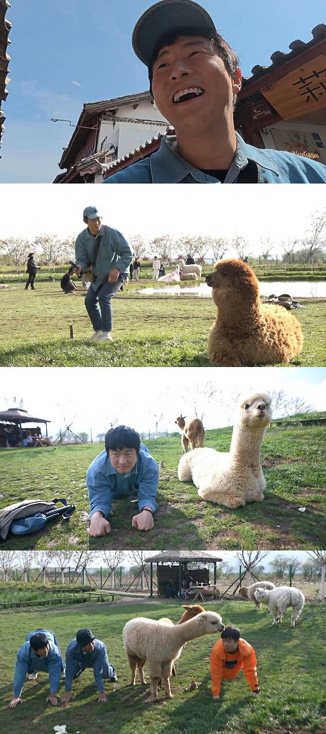 ▲ 제공|MBC '태계일주4'