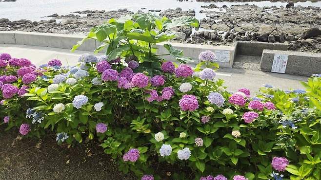 7fed8273b58469f051ee80e54f8374739b5d31ce81690931e9ba356fef5006fa