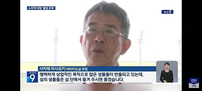 IMG_8962.jpeg "가방에서 \'바스락\'"… 일본서 소라게 5,200마리 밀반출 중국인 검거