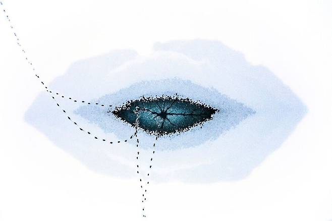 ‘풍경, 물, 식물’ 부문 수상작 ‘제3의 눈’. 마르친 기바/빅픽처 제공