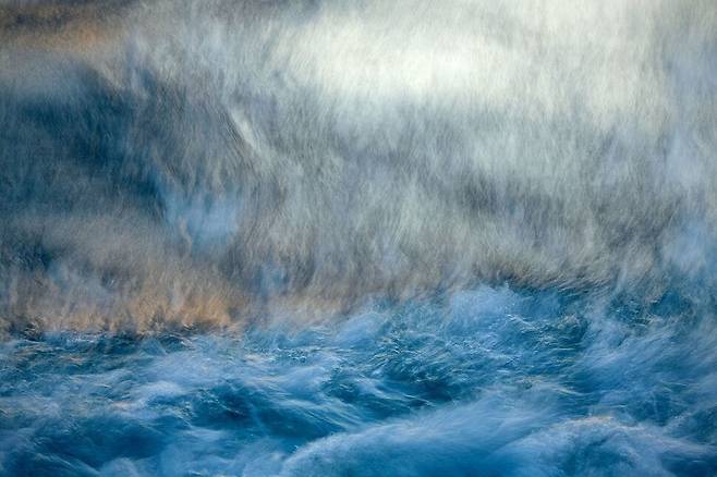 ‘자연의 예술’ 부문 수상작 ‘위로 떠오르다’. 산드라 바르토차/빅픽처 제공