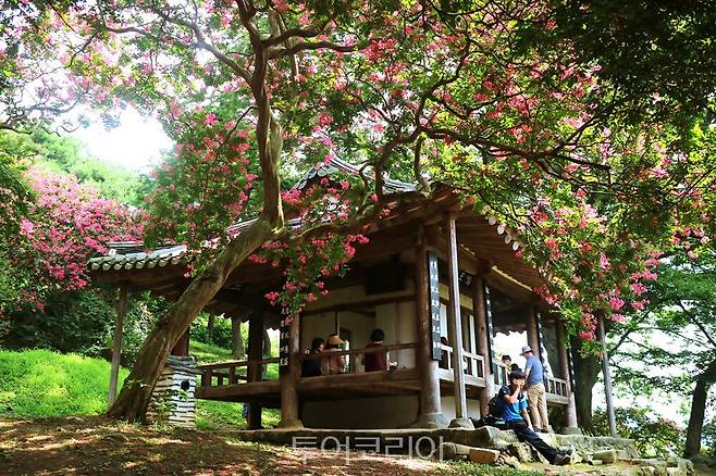 명옥헌/사진-담양군