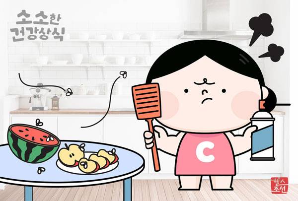 초파리를 없애려면 초파리가 생기는 원인을 차단하고 초파리를 가둘 수 있는 트랩을 설치하는 게 효과적이다./그래픽=헬스조선DB