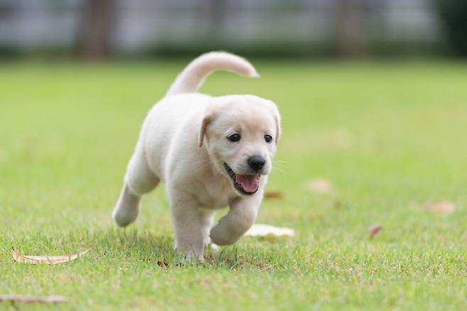 /사진=게티이미지뱅크