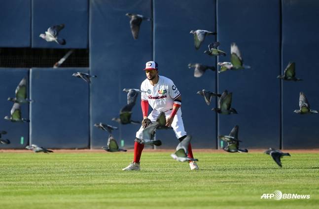 지난 2월 도미니카공화국 대표팀 소속으로 뛰던 리베라토의 모습. /AFPBBNews=뉴스1