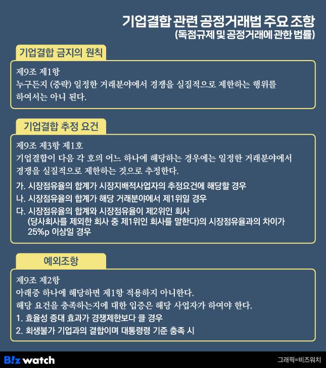 기업결합 관련 공정거래법 주요 조항./그래픽=비즈워치