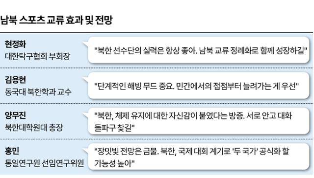 남북 스포츠 교류 효과 및 전망