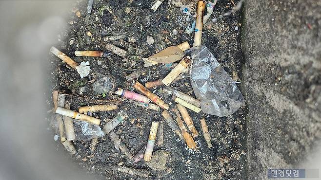 구로구 일대 담배꽁초 사진=유지희 기자
