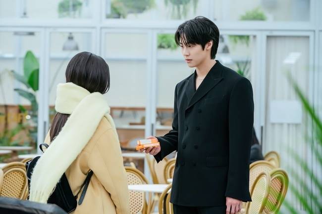 (주)FNC 스토리 제공