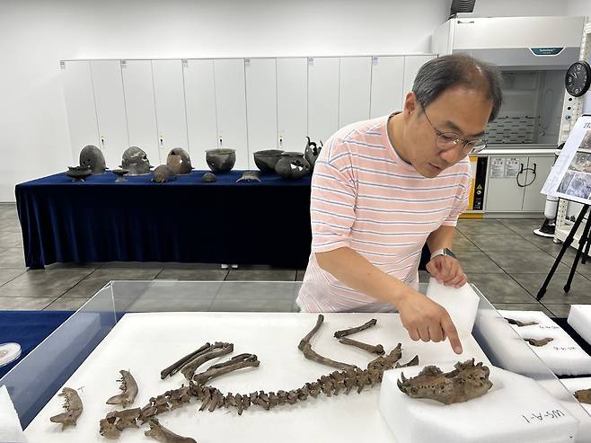 동물 고고학 전문가인 김헌석 학예연구사 (경주=연합뉴스) 김예나 기자 = 동물 고고학 전문가인 김헌석 국립경주문화유산연구소 학예연구사가 지난 11일 경북 경주시 신라월성연구센터 숭문대에서 월성 남성벽에서 출토된 개 뼈를 설명하고 있다. 국립경주문화유산연구소는 3세기 사로국 시기에 의례를 지내며 묻은 것으로 추정되는 개 뼈를 중심으로 월성 출토 개의 유전자를 분석하고 연구할 예정이다. 2025.6.18
yes@yna.co.kr