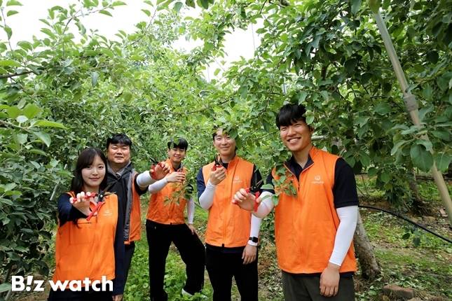 ㈜한화 임직원들이 경기도 연천군 군남면 임진농협 관내 사과농가에서 농촌 일손돕기 봉사활동을 진행하고 있다/사진=㈜한화