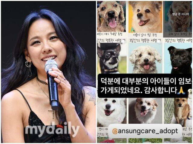 이효리./마이데일리DB